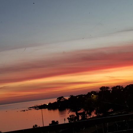 Vieille Ville D Ajaccio De 1 A 4 Pers A 300M Du Port Et A 15 Mn De Laeroport Proches De Plus Belles Plages Et Ttes Commodites A Proximite Exteriör bild