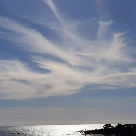 Vieille Ville D Ajaccio De 1 A 4 Pers A 300M Du Port Et A 15 Mn De Laeroport Proches De Plus Belles Plages Et Ttes Commodites A Proximite Exteriör bild