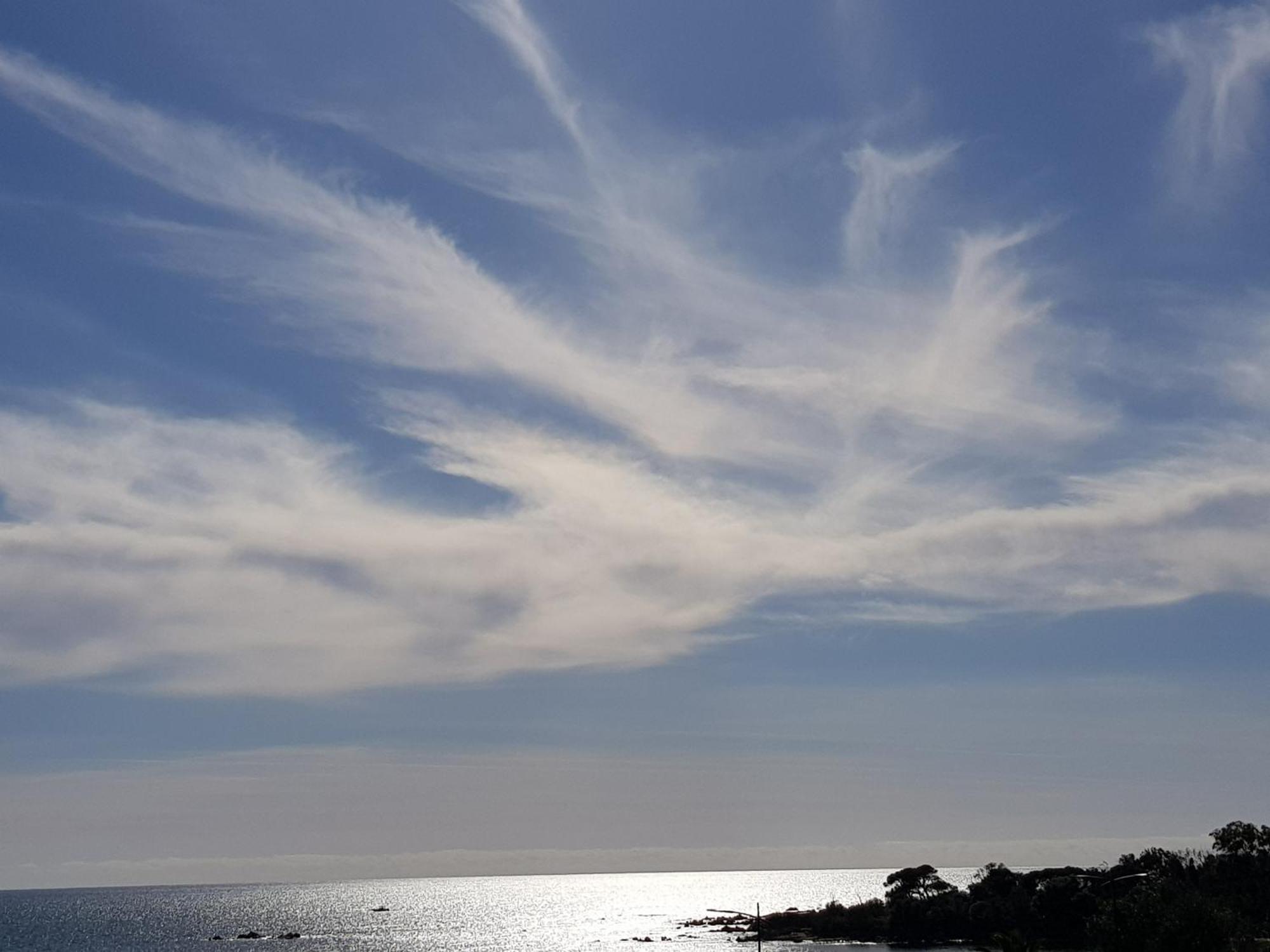 Vieille Ville D Ajaccio De 1 A 4 Pers A 300M Du Port Et A 15 Mn De Laeroport Proches De Plus Belles Plages Et Ttes Commodites A Proximite Exteriör bild